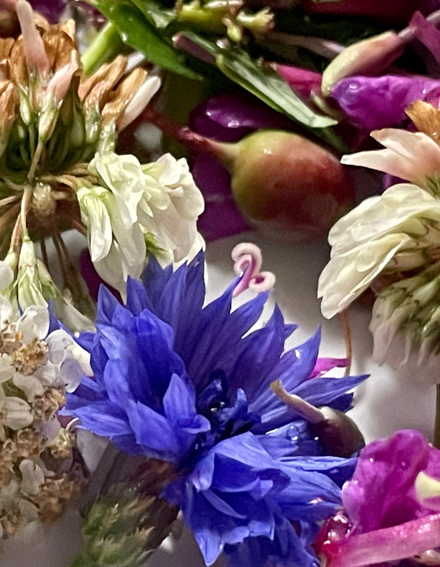 100% Pure Organic, Cultivated Hand-picked Alaskan Wild Flower Skin Care