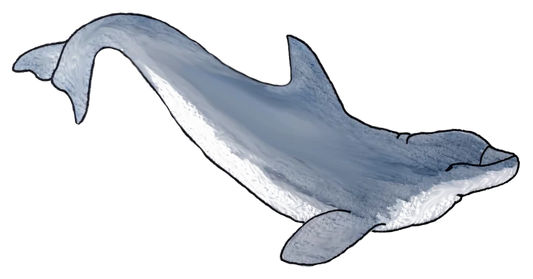 Dolphin Sticker