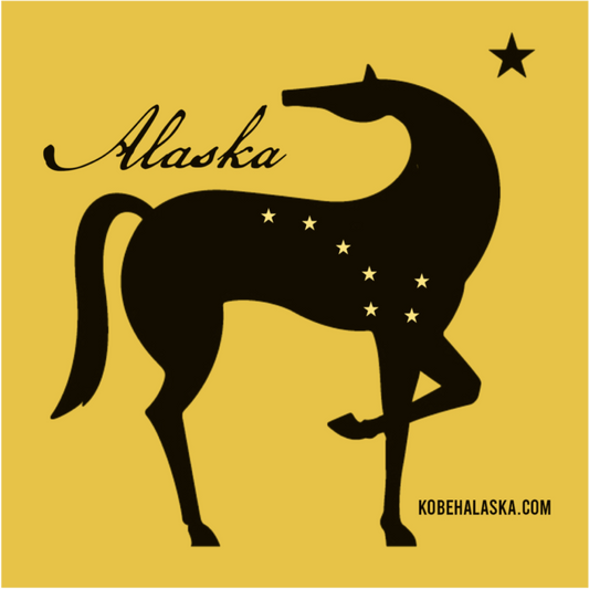 Alaska Horse and Bigger Dipper w NorthStar Sticker